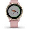 Часы GARMIN VIVOACTIVE 4S DUST ROSE/LIGHT GOLD 010-02172-33